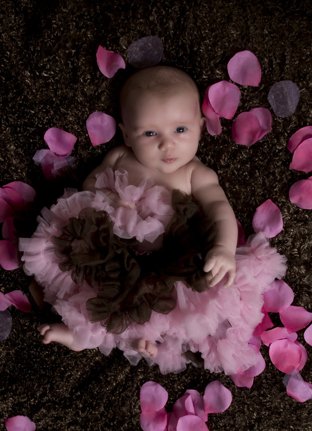 A Brand new baby for Mother’s Day…(Palm Harbor Baby Photography)
